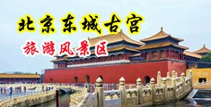 黄色美女污秽屌尻屄网站中国北京-东城古宫旅游风景区